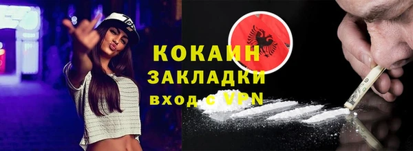 индика Михайловск