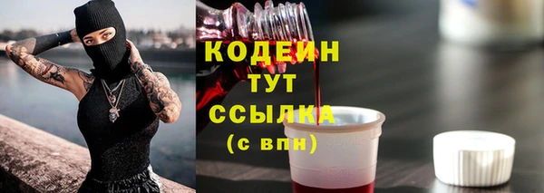 индика Михайловск