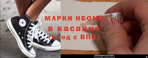 индика Михайловск