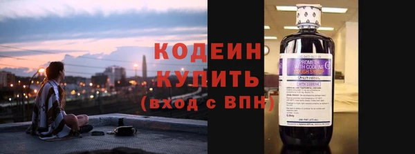 индика Михайловск