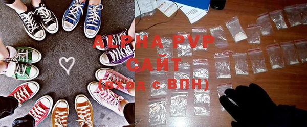 индика Михайловск
