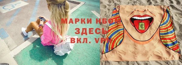 индика Михайловск