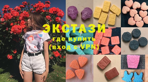 индика Михайловск