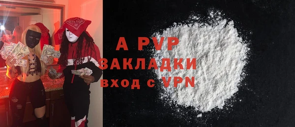 индика Михайловск