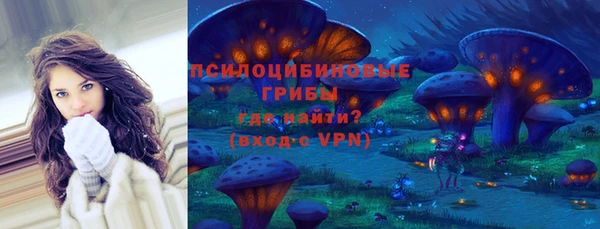 индика Михайловск