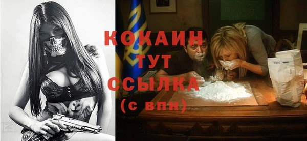 индика Михайловск
