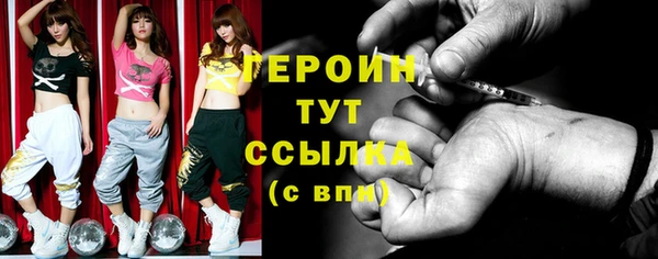 индика Михайловск