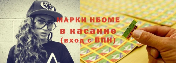 индика Михайловск