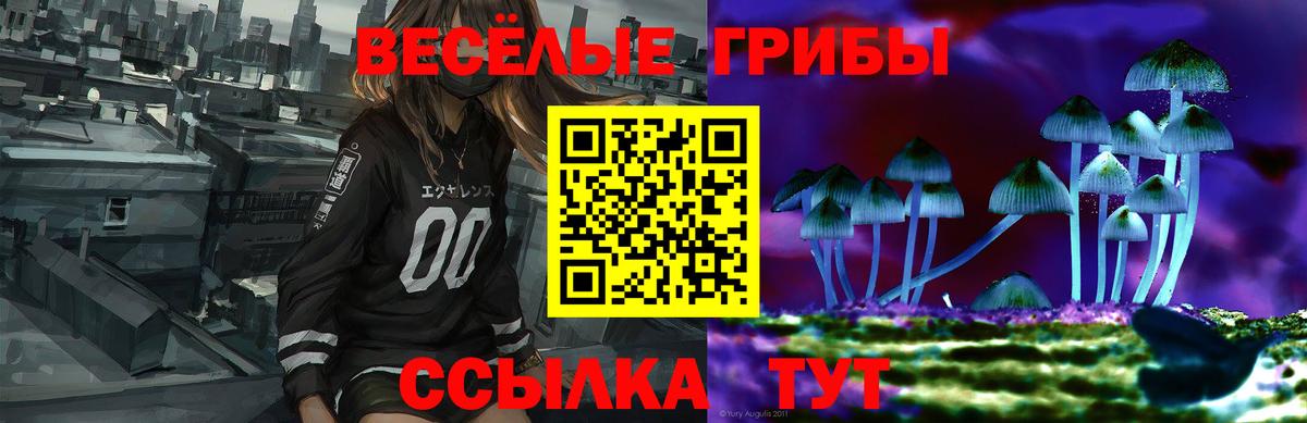Галлюциногенные грибы мухоморы Южноуральск